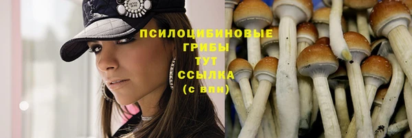 не бодяженный Покачи