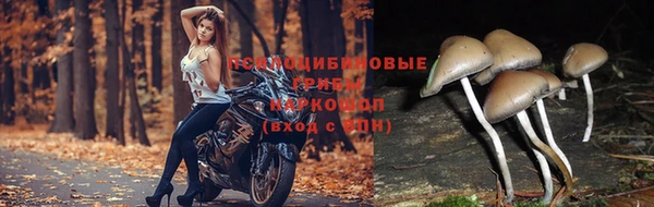 метамфетамин Пересвет