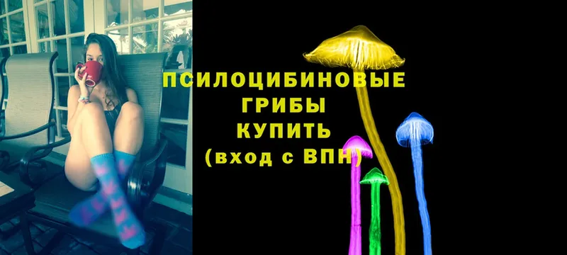 сайты даркнета состав  Байкальск  Псилоцибиновые грибы Psilocybine cubensis  как найти закладки 